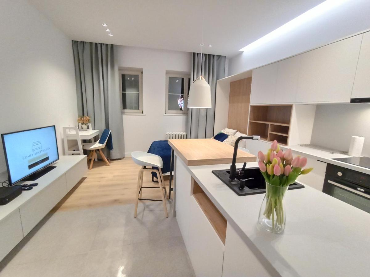 Comfy Apartments - Old Town Center غدانسك المظهر الخارجي الصورة